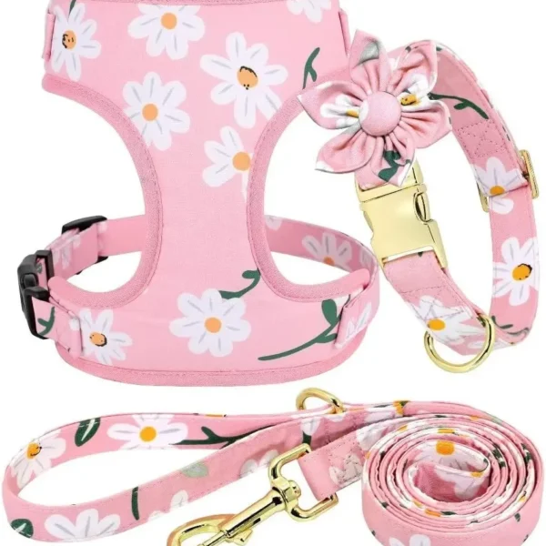 Cute Dog Collar Harness & Leash Set